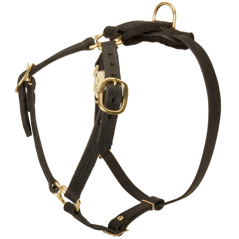 Y-Shaped Leather Newfoundland Harness for Tracking and Training