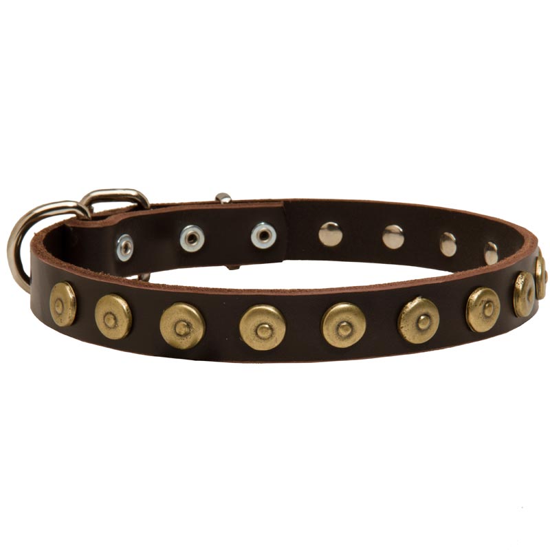 Leather Newfoundland Collar with Brass Dotted Circles for Fashion Walking