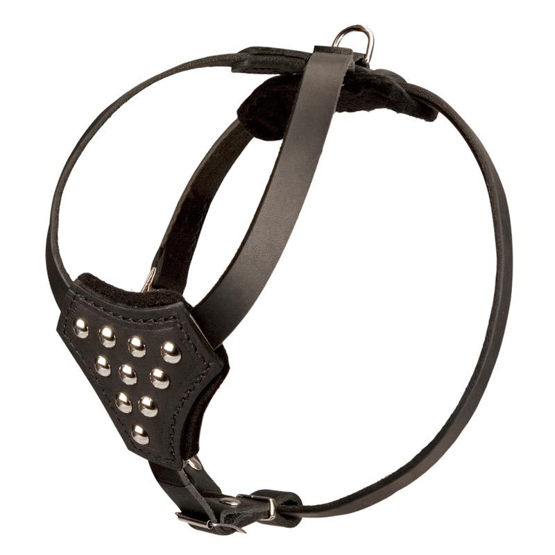 Designer Leather Newfoundland Harness with Adjustable Straps for
