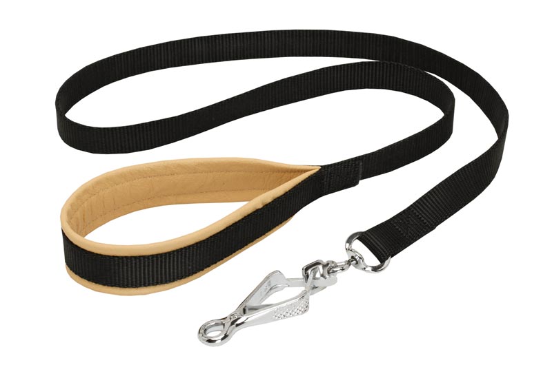 Nylon Newfoundland Leash with Support Material on the Handle for Walking and Training