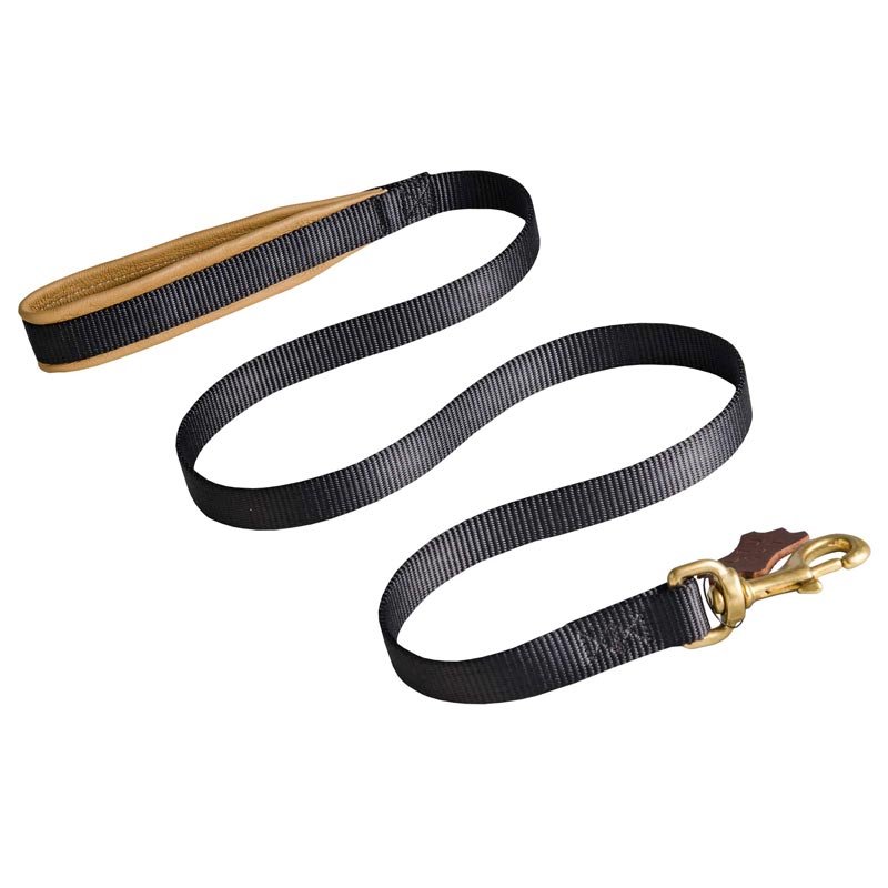 No Rubbing Nylon Newfoundland Leash with Support Leather Material on the Handle