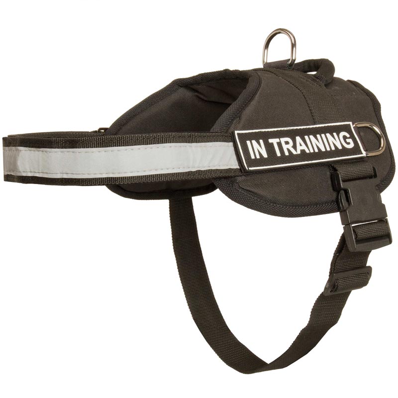 Nylon Newfoundland Harness with Reflective Strap for Training, Walking, Police Service, SAR and More