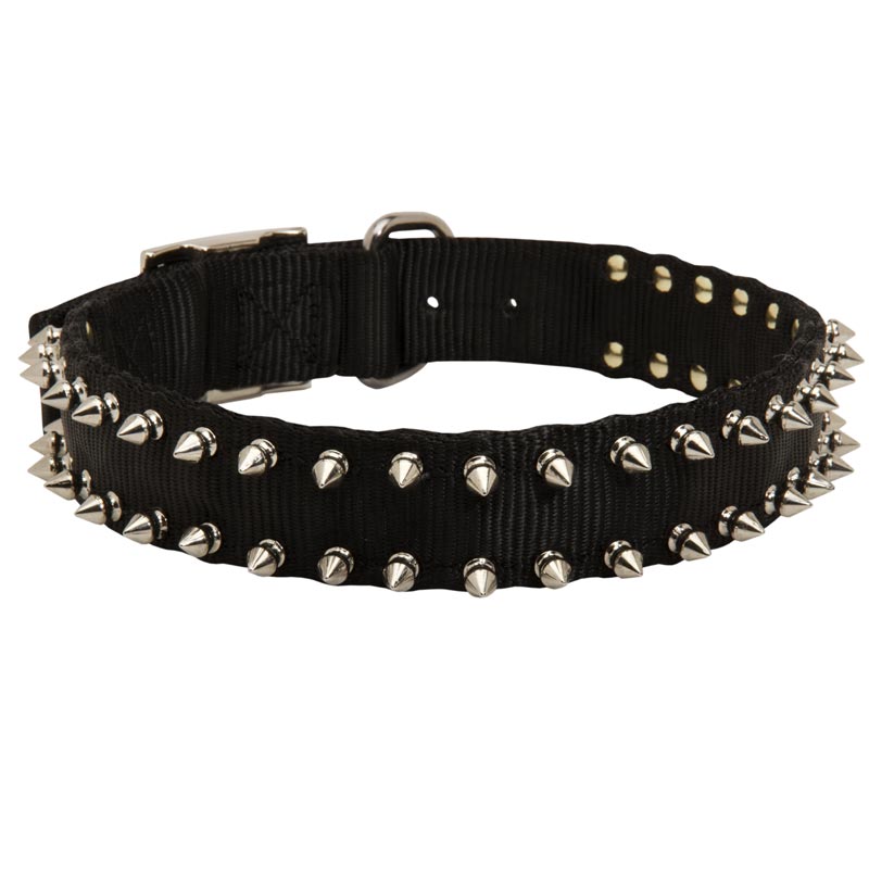 Newfoundland Nylon Collar Spiked