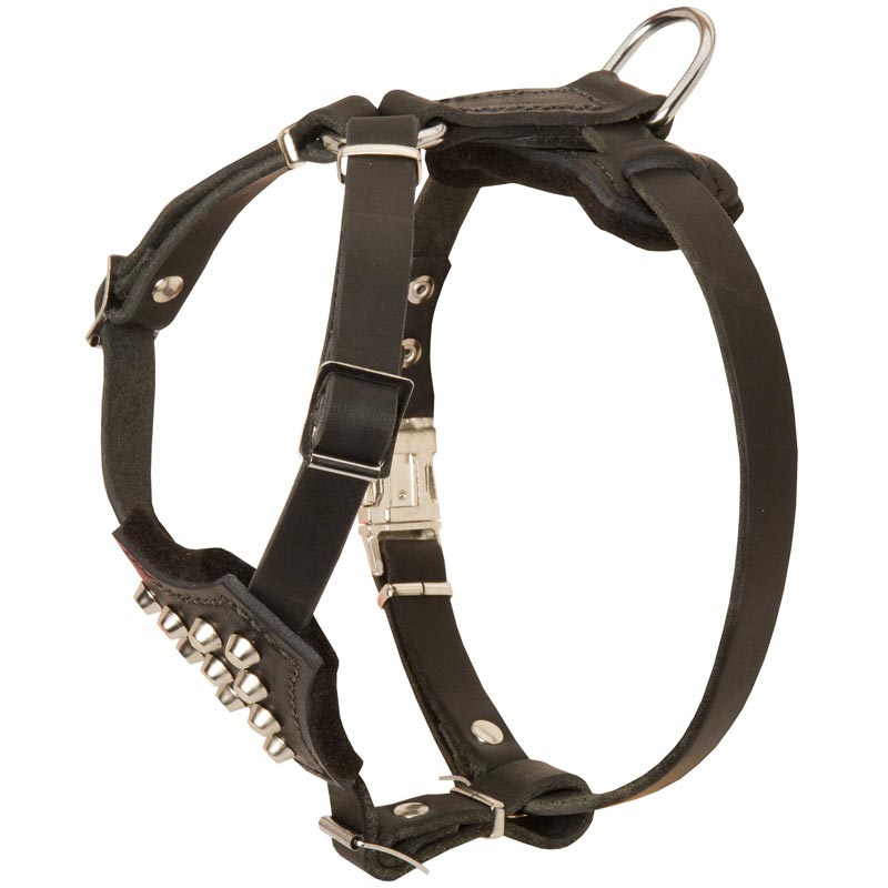 Studded Leather Newfoundland Puppy Harness