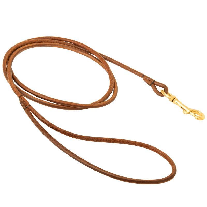 Round Leather Newfoundland Leash for Dog Shows