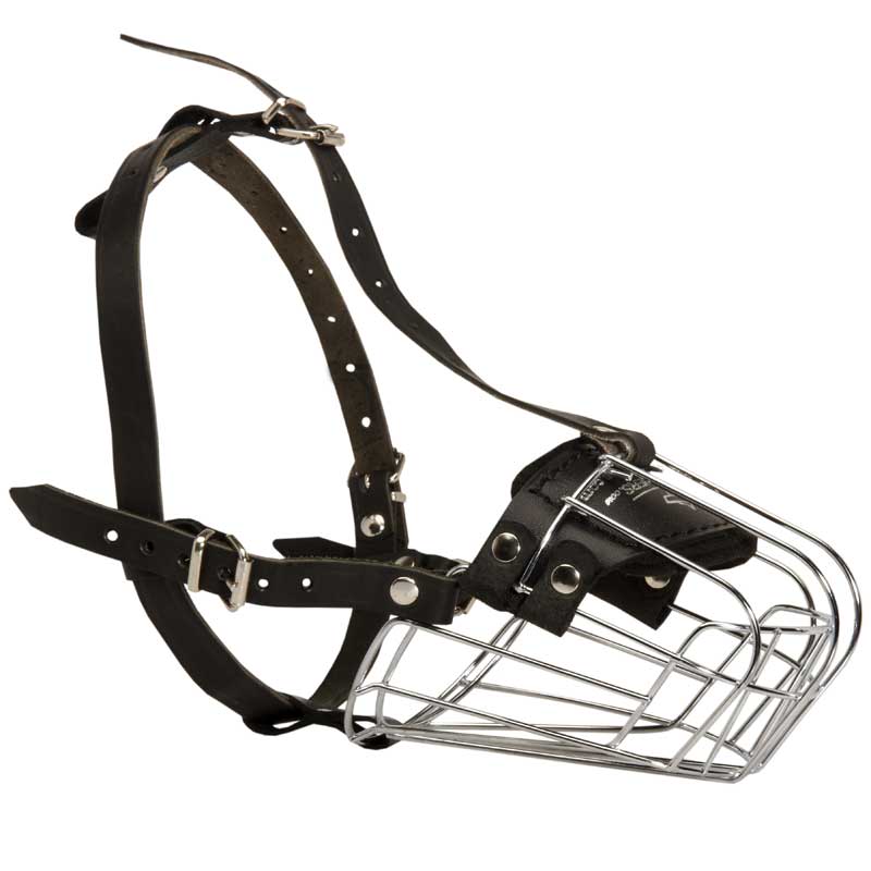 Wire Basket Newfoundland Muzzle for Comfortable Walking and Training