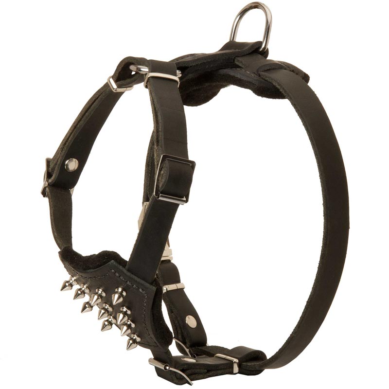 Durable Spiked Leather Puppy Newfoundland Harness