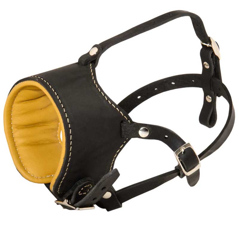Snout Short Leather Newfoundland Muzzle Padded with Nappa Leather