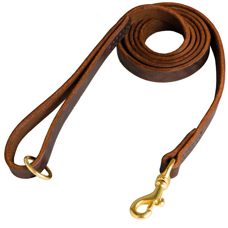 Stitched Leather Newfoundland Leash for Training and Walking