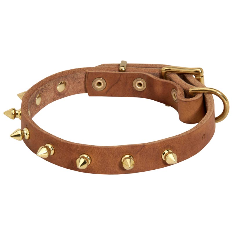 Walking Designer Leather Newfoundland Collar with Brass Spikes