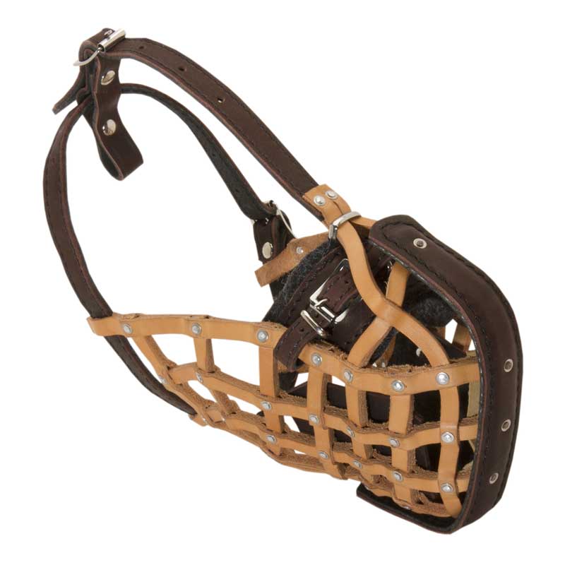 Basket-Like Newfoundland Muzzle Leather