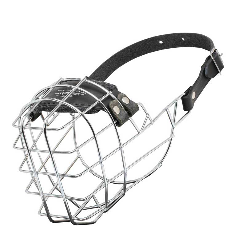 'The Silencer' Wire Cage Newfoundland Muzzle With One Strap