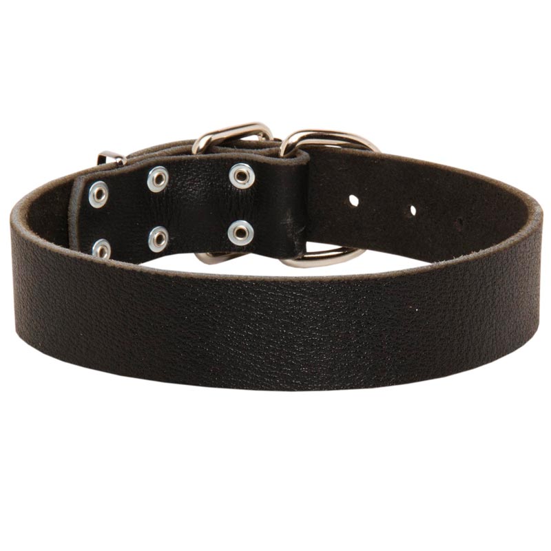 Wide Leather Newfoundland Collar for Training and Walking - Click Image to Close
