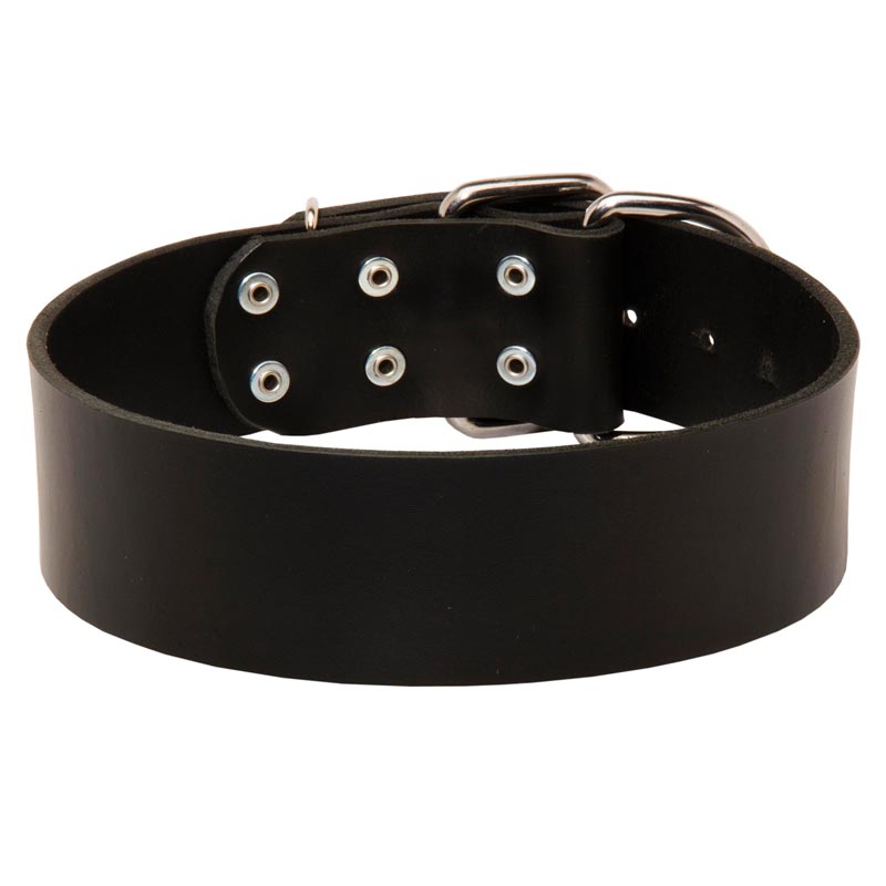 Extra Wide Leather Newfoundland Collar for Professional Training - Click Image to Close
