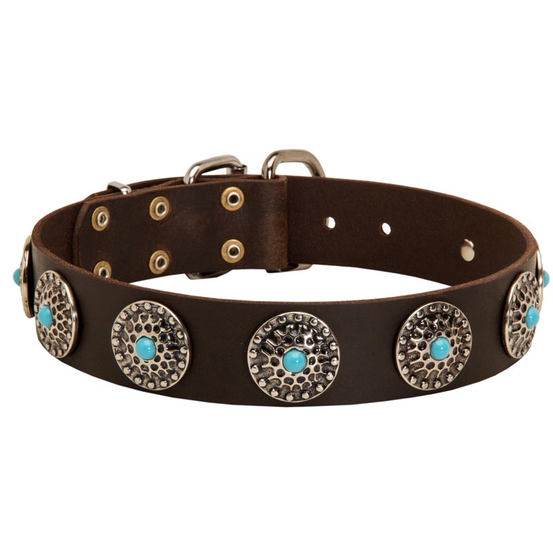 Leather Newfoundland Collar with Blue Stones for Stylish Walking