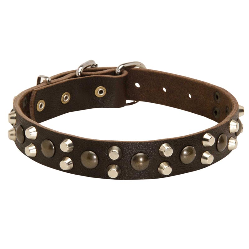Leather Newfoundland Collar With Studs and Pyramids