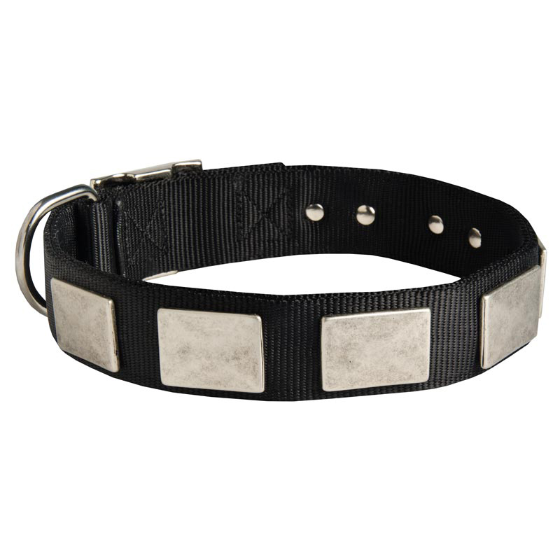 Nylon Newfoundland Collar Massive Nickel Plates