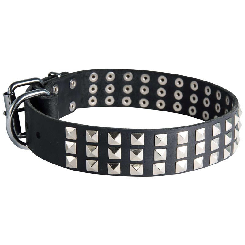 Leather Newfoundland Collar with 3 Rows of Nickel Pyramids