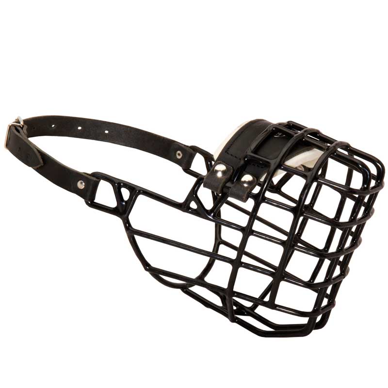 Frost-Resistant Wire Cage Newfoundland Muzzle with One Adjustable Strap - Click Image to Close