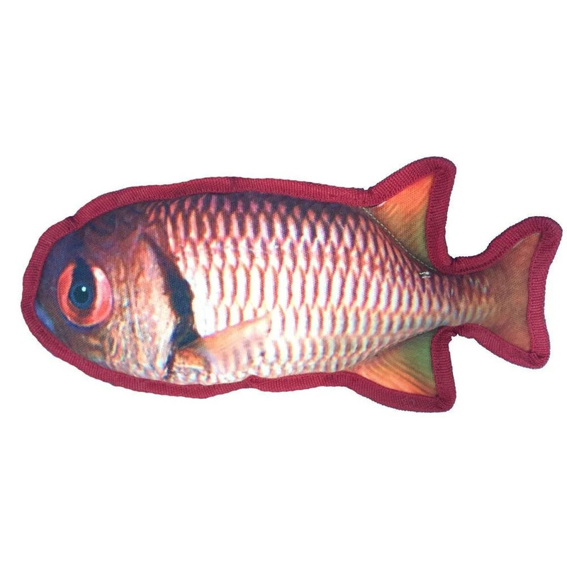 11" Tropical Snapper - Click Image to Close
