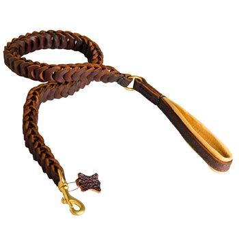 Braided Leather Newfoundland Leash with Padding on Handle