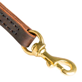 Newfoundland Leather Leash with Brass Hardware