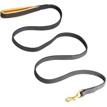 Padded Leather Newfoundland Leash for Everyday Walking