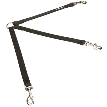 Newfoundland Nylon Leash for Walking 3 Dogs with Comfort
