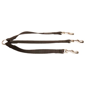 Triple Nylon Leash for Walking 3 Newfoundland Dogs