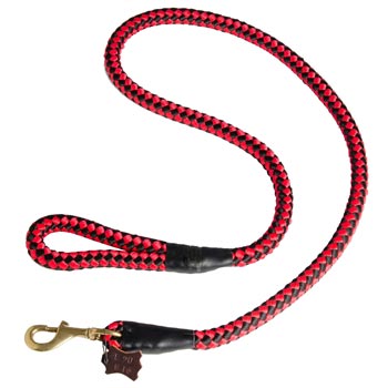 Newfoundland Red Nylon Leash for Walking and Training