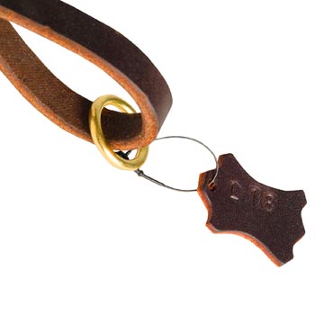 Leather Newfoundland Leash with Brass-Made O-Ring