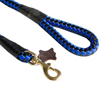 Blue Nylon Newfoundland Leash 