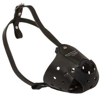 Walking Leather Muzzle for Newfoundland