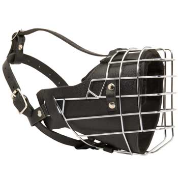 Padded on the Nose Newfoundland Muzzle